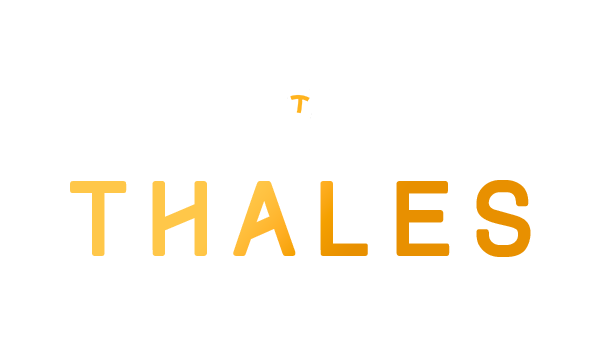 Thales Arte Digital – Marketing no Vale Do Paraíba